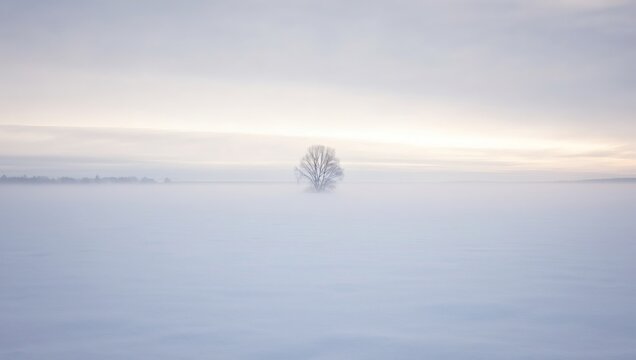 Minimalist Snowy Landscape with Lone Tree