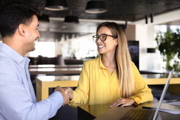 Happy business woman in glasses shaking hands with male expert