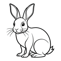 Obraz premium rabbit ,hand drawn illustration outline isolated on white background