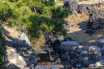 都心散歩　冬迫る浜離宮