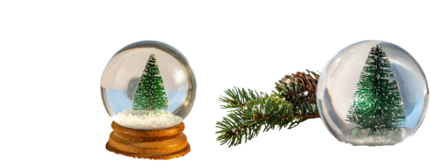 Snow Globe and Frosted Pine Branch Pair, isolated on transparent background