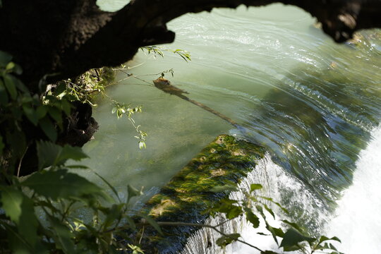 R&iacute;o Blanco, Aguacat&aacute;n, Huehuetenango, Guatemala, Agua, r&iacute;o, naturaleza