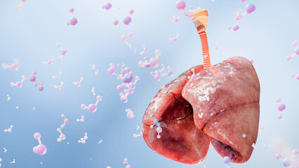 Healthy Human Lungs, Trachea, and Oxygen Molecules, Respiratory System, Carbon Dioxide Flow, Pulmonary Function, Scientific Anatomy Background, CO2 Exchange, 3d render
