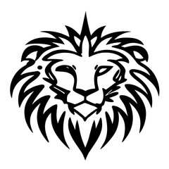 A lions head  background