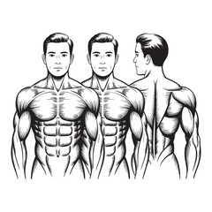 Three Muscular Men Figures Front Side Back View Black and White Line Art male bodybuilder