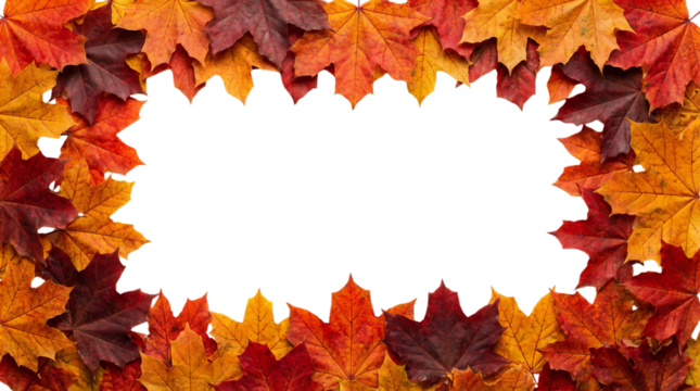Beautiful colorful autumn maple leaves with center space for seasonal design. PNG file