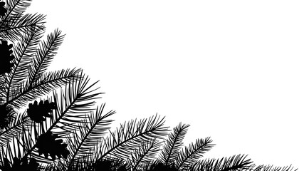 Black and White Pine Needles and Cones Silhouette on White Background.