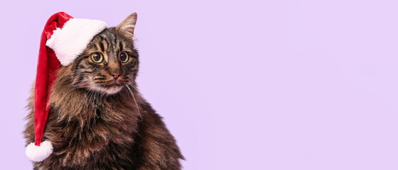 Cute cat in Santa hat on lilac background