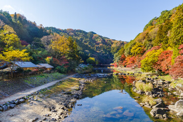 香嵐橋から見た香嵐渓の紅葉（愛知県j豊田市足助町）