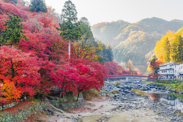 紅葉に染まる香嵐渓の朝（愛知県j豊田市足助町）