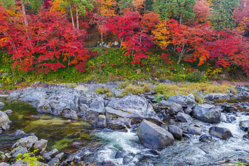 香嵐渓の紅葉と巴川（愛知県j豊田市足助町）