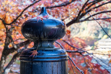 朝露に濡れる秋の待月橋の擬宝珠（香嵐渓　愛知県豊田市足助町）