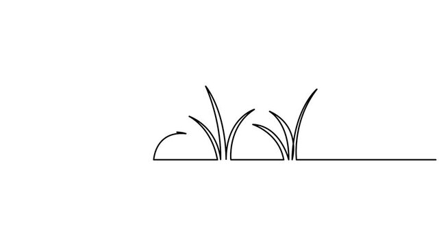 Grass continuous one line drawing minimalist style animation video. Single line art animation 