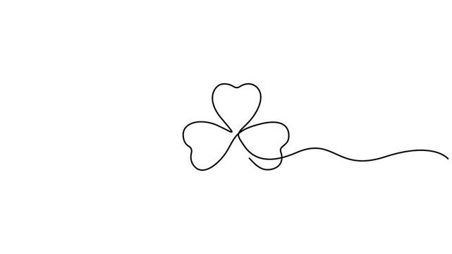 Three leaf clovers continuous one line drawing animation video