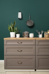 Grey counters with utensils and houseplants in modern kitchen