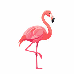 Graceful Pink Flamingo Standing on One Leg in a Stylized Flat Vector Illustration Isolated on White Background