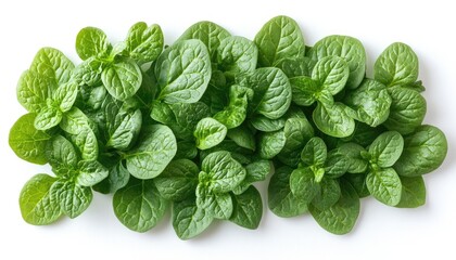 Fresh green spinach leaves isolated against a white background. Perfect for healthy food, recipe ideas, or green lifestyle themes.