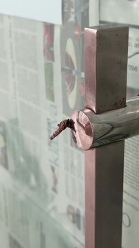 the Psychidae - bagworm moth, also simply bagworms or bagmoths on the door handle. the larva of a type of moth. the caterpillar lives inside the case, carrying it around as it feeds on plants