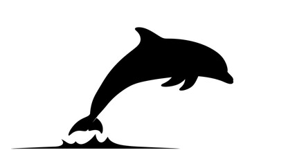 Energetic black dolphin jumping and splashing water, isolated white background