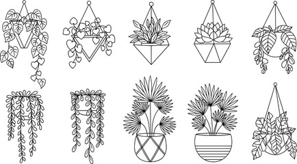 Hanging, potted, houseplants, line, drawings, botanical, collection, indoor, greenery, macrame, planters, succulents, vines, foliage, minimalist, black, white, sketch, vector, cad drawing flat vector