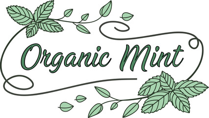 Elegant organic mint logo design for a fresh, natural brand identity, perfect for herbal teas, spa products, and eco-friendly packaging, a botanical vector art