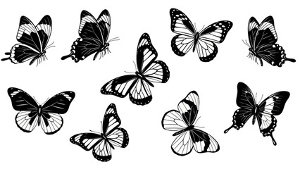 Elegant Black and White Butterfly Collection - A Vector Illustration of Graceful Insects