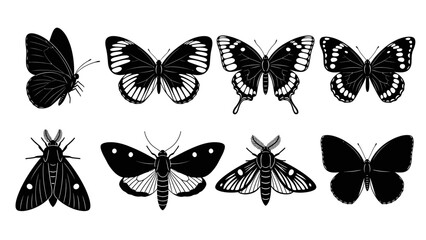 Elegant collection of various monochrome butterfly and moth species in silhouette style © ellisa_studio