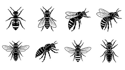 Monochrome vector illustrations featuring various stylized depictions of bees in differing poses