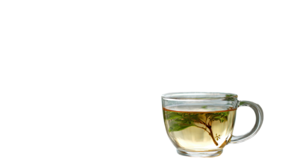 Glass cup of herbal infusion with fresh green leaves and warm transparent tea presented clearly isolated on white background