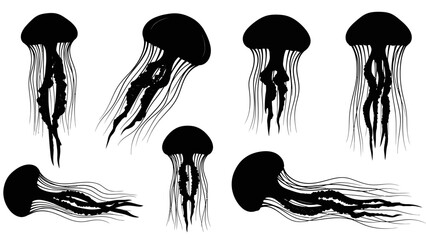 Elegant Silhouette Illustration of Jellyfish Set, Featuring Diverse Shapes and Poses for Creative