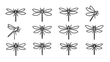 Elegant dragonfly line art collection showcasing diverse poses and intricate wing patterns ideal