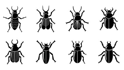 Set of eight different beetle illustrations, minimalist and monochrome style insect design