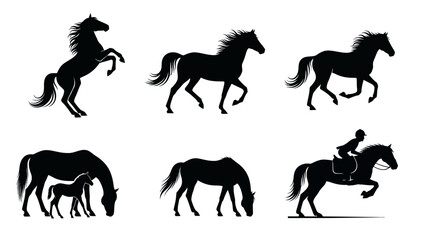Elegant horse silhouette collection featuring various poses and activities in black and white