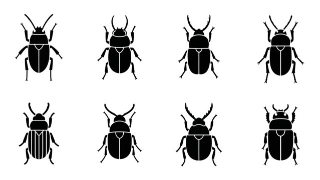 Collection of stylized beetle silhouettes on a clean white background displaying diversity