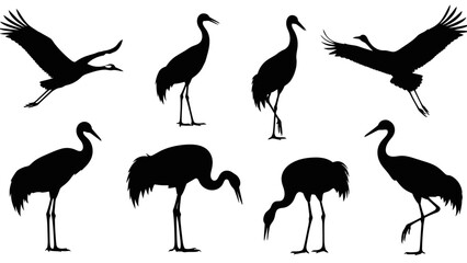 Fototapeta premium Elegant silhouettes of majestic cranes in various poses against a serene backdrop