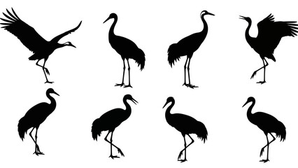Fototapeta premium Elegant silhouettes of diverse crane bird poses against a clean white backdrop creating a