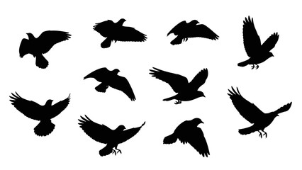 Naklejka premium Silhouette of birds in flight against a white background displaying natural beauty and freedom of