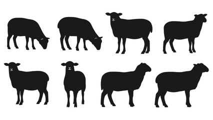Silhouette flock of sheep vector illustration in various poses isolated on white background