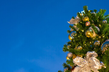 Christmas ball decorate on pine tree branch sunset sky night light merry christmas