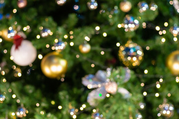 Christmas ball decorate on pine tree branch at night merry christmas