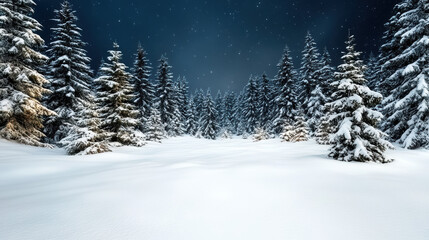 Naklejka premium Snow laden pine forest glowing with soft moonlight, serene winter night