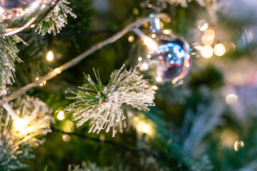 Christmas ball decorate on pine tree branch at night merry christmas