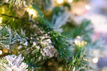 Christmas ball decorate on pine tree branch sunset sky night light merry christmas