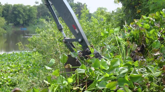 Excavator removing water hyacinth and aquatic weeds from polluted canal, river pollution, restoring water quality, cleaning waterway in river, solving environmental problems sustainably