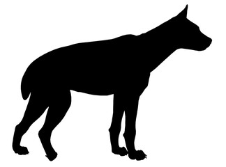 Hyena silhouette in black and white against a clean white background. This minimalist design is perfect for animal themes and graphic projects.