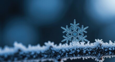 A close-up of a delicate snowflake resting on a frosty branch against a blurred background