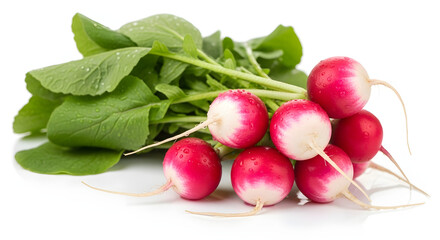 Fresh Radishes with Green Leaves on White Background.