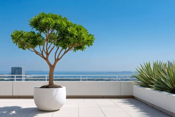 Obraz premium Potted tree on modern rooftop balcony overlooking ocean