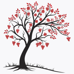 Fototapeta premium red grape tree on white background 