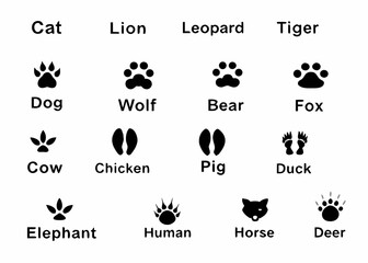 Collection of animal paw prints and footprints with labels